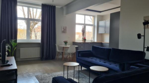 ReHouse Vokieciu str.9, 2 bedroom